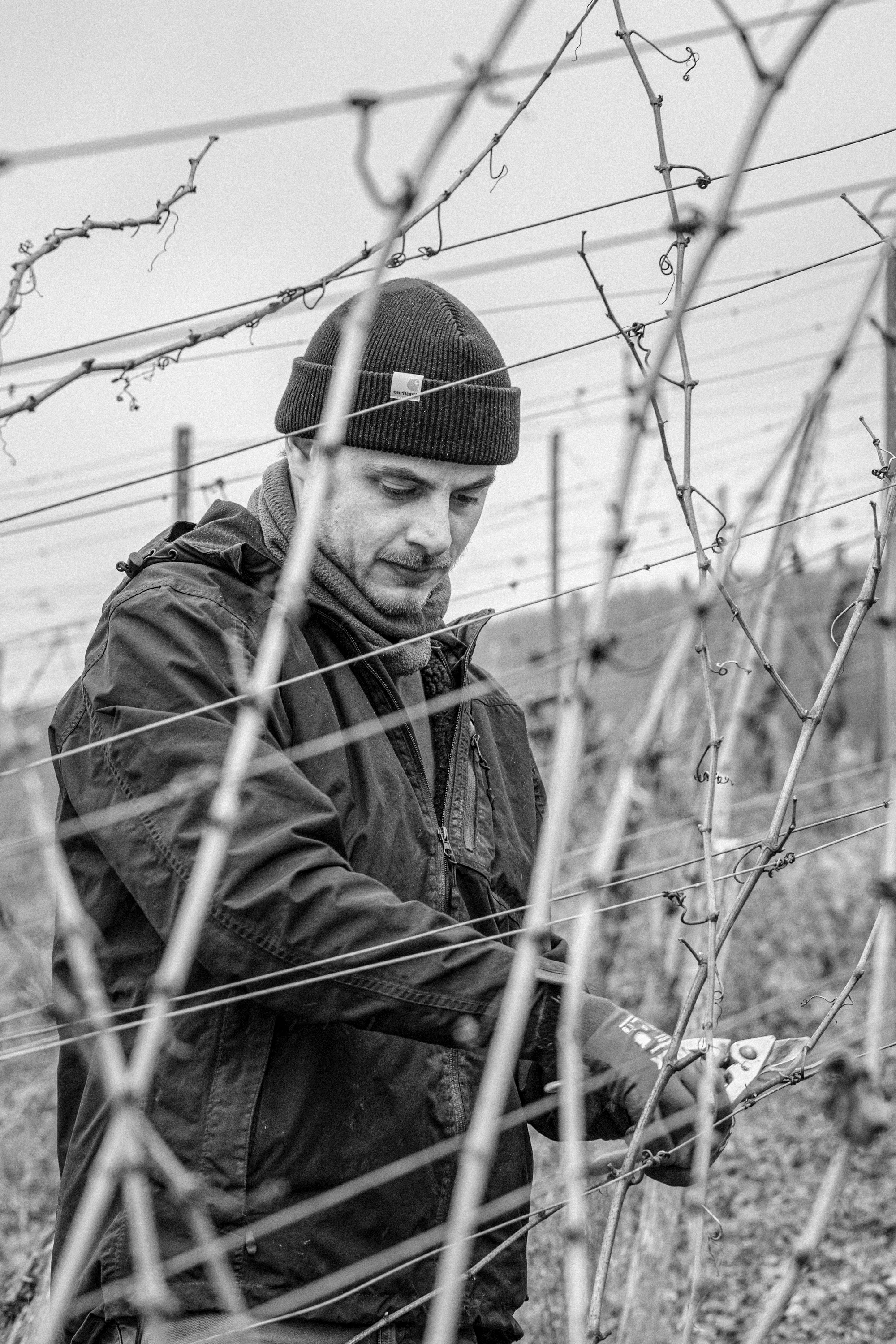 Scheid winemaker portrait in black and white
