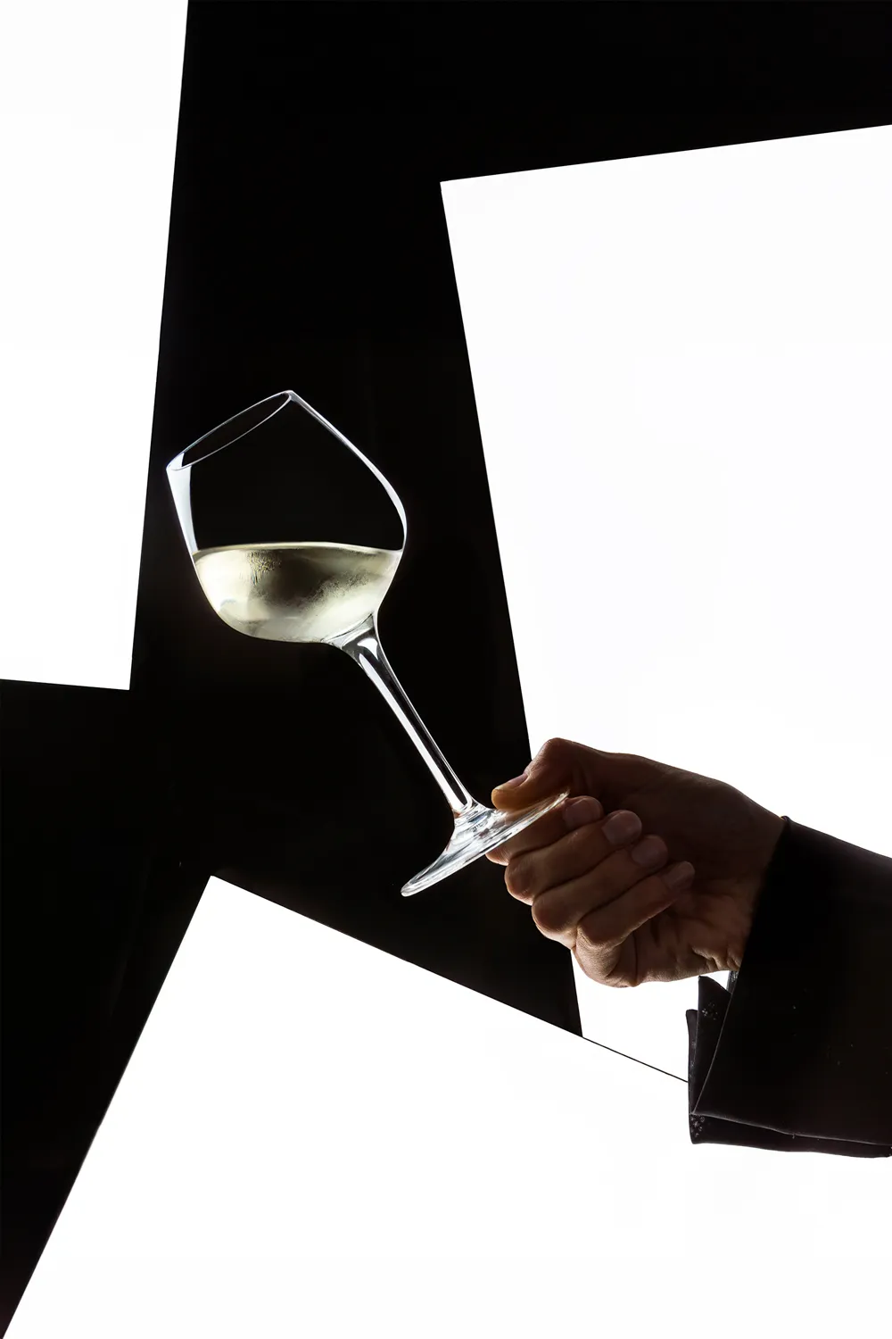 Wine, creative studio frame